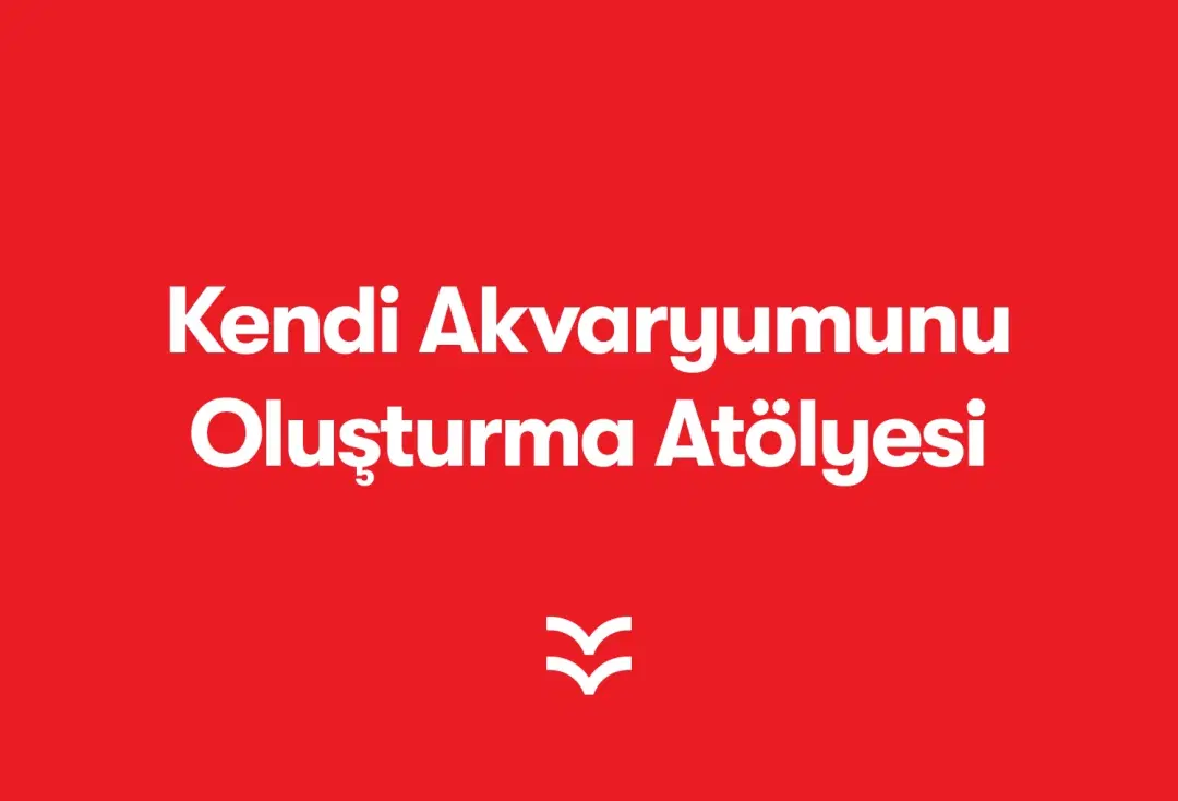 Kendi Akvaryumunu Oluşturma Atölyesi